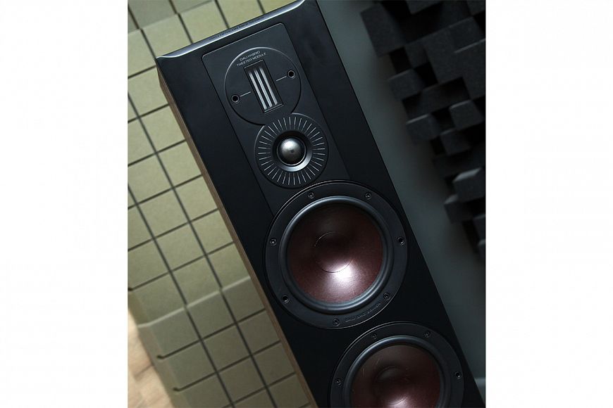 Floor-standing speakers DALI Opticon 6 mk2