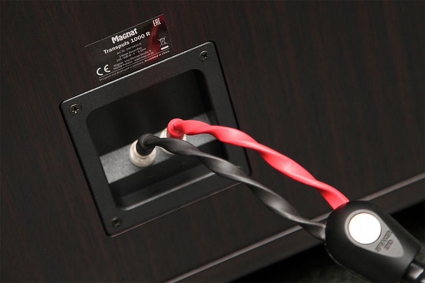 Acoustic systems Magnat Transpuls 1000