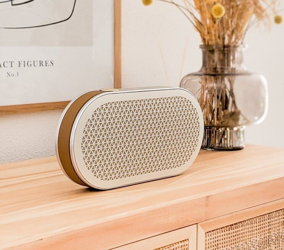 DALI Katch G2 portable Bluetooth speaker