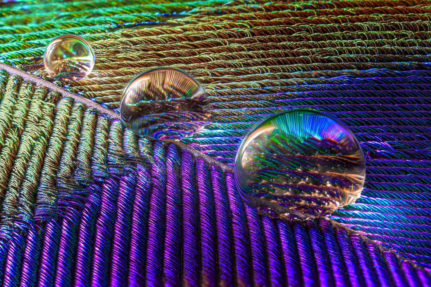 © Alberto Ghizzi Panizza