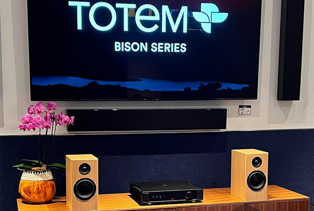 Totem Bison