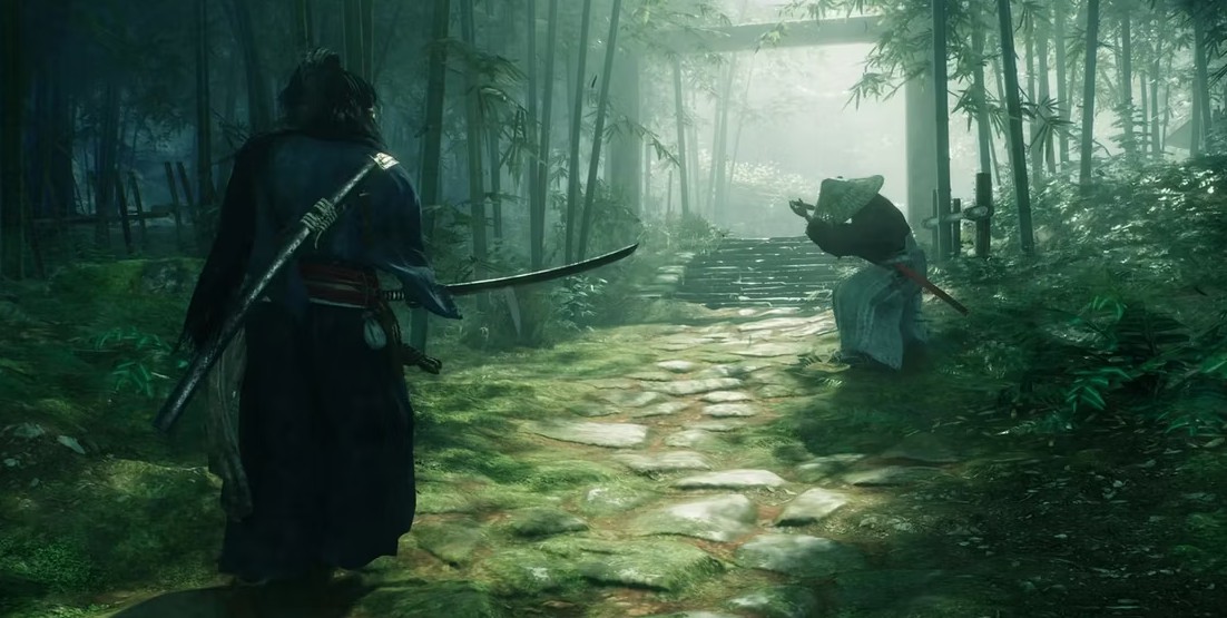Team Ninja has another game in development besides Rise Of The Ronin