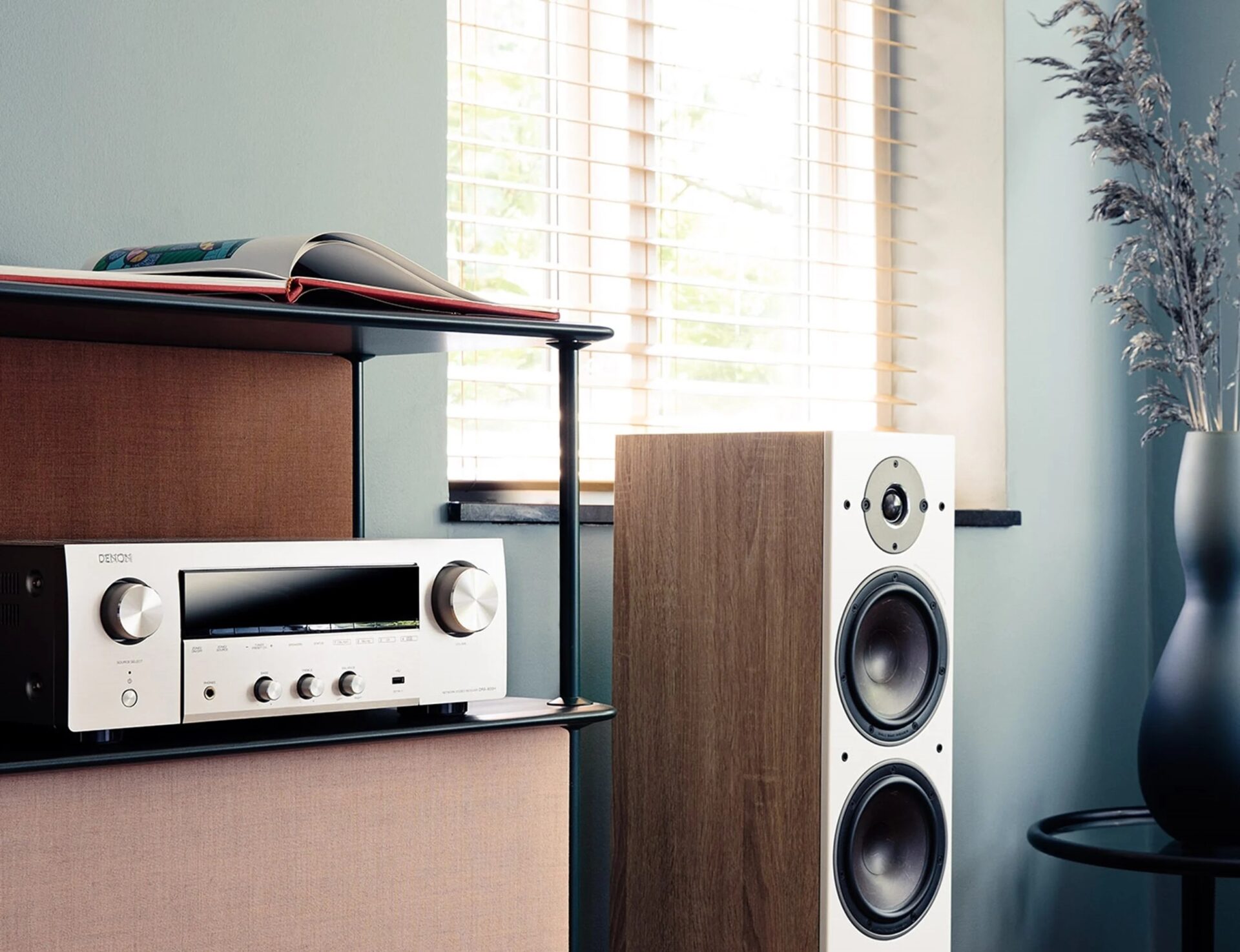 Denon DRA-800H