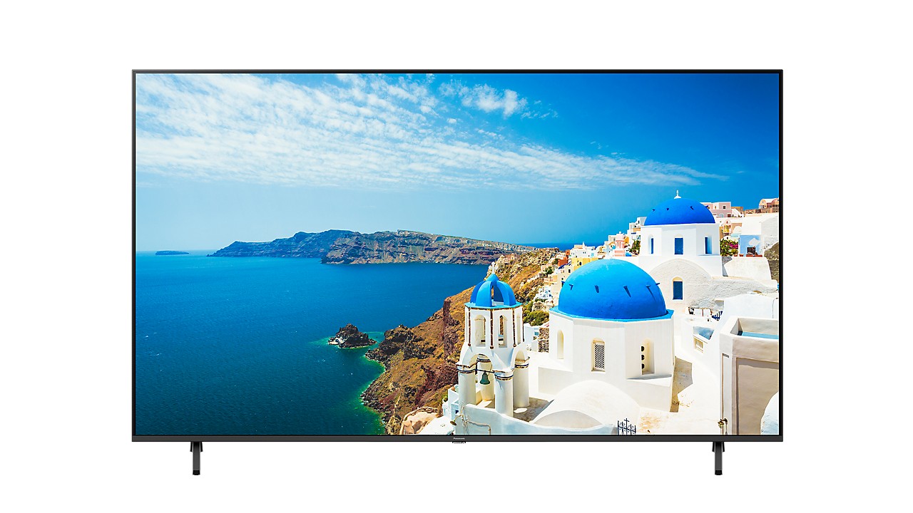 Panasonic MX950: With the My Landscape feature, you can choose illustrations or even animations.