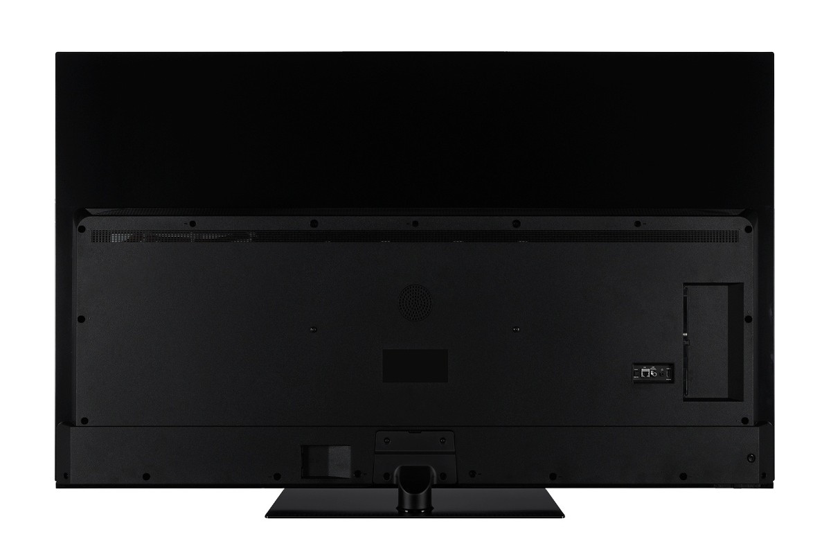 TX-65MZ800E Rear panel