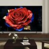 TCL T8C QLED TV Review: Premium Features Without the Premium Price
