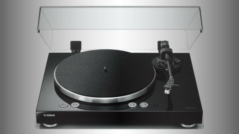 Yamaha TT N503