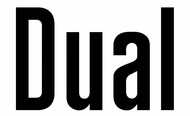 dualqq.jpg