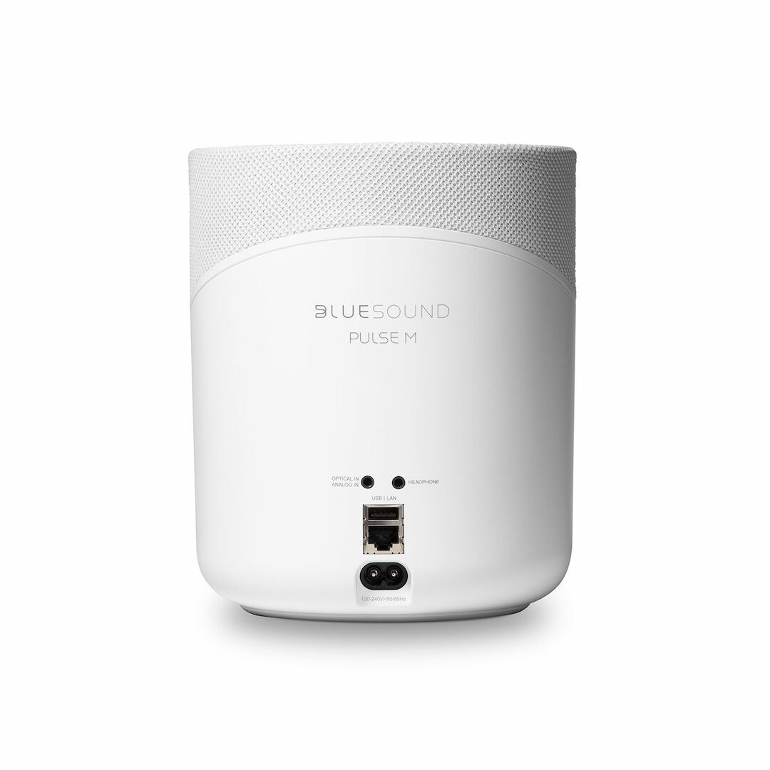 BLUESOUND PULSE M (P230)