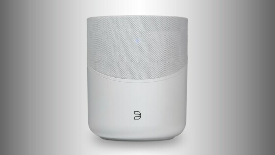 BLUESOUND PULSE M (P230)