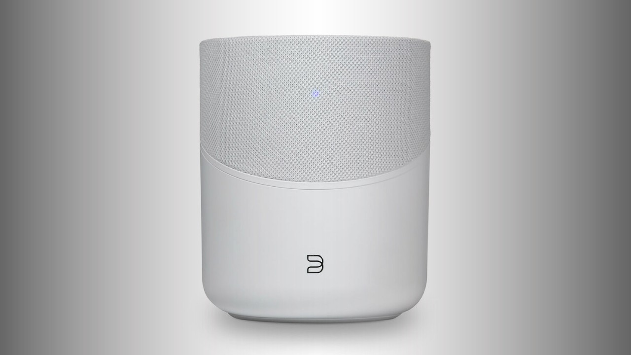 BLUESOUND PULSE M (P230)