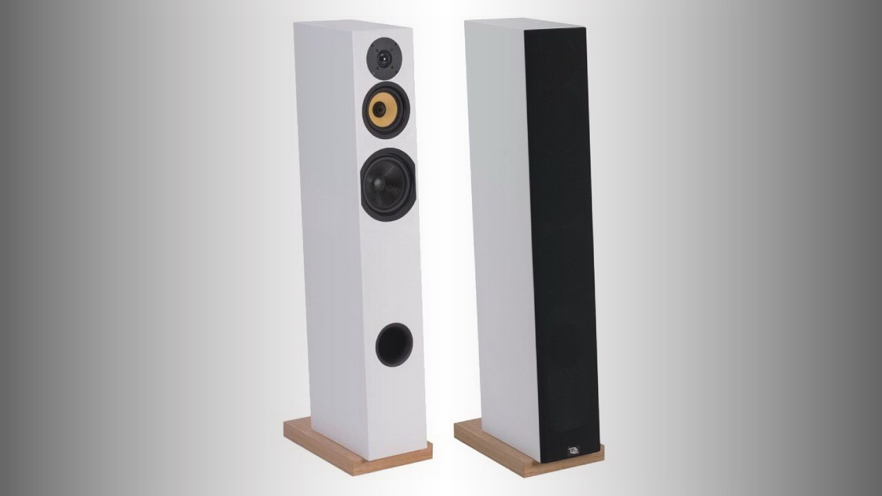 Davis Acoustics Courbet No. 7