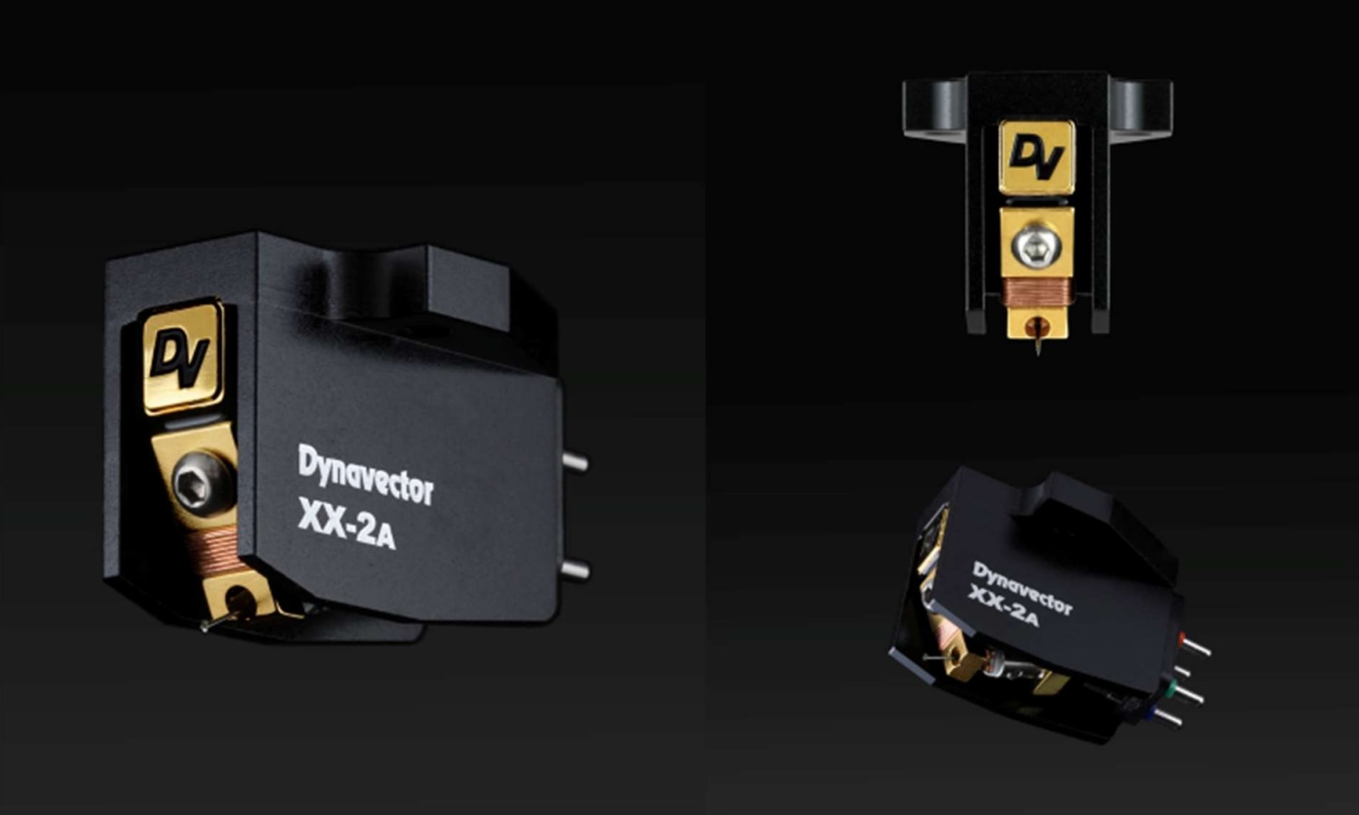 20240627104346 2024 06 27 DynavectorXX