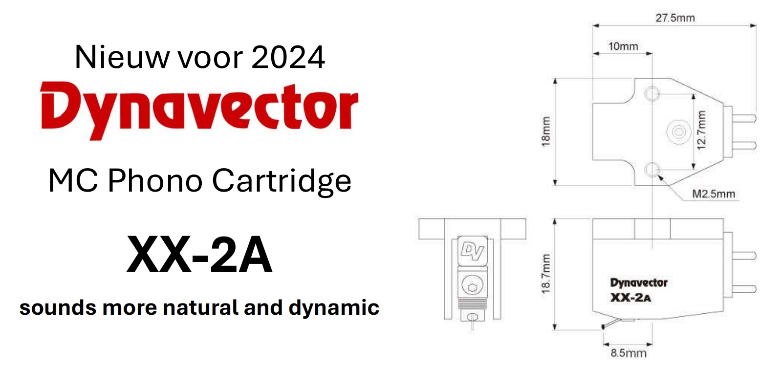 20240627104346 2024 06 27 DynavectorXX