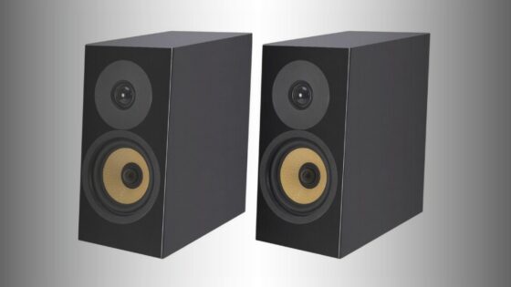 Davis Acoustics Courbet No.3