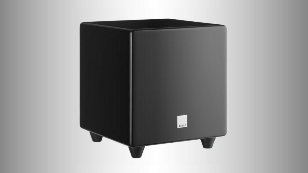 Best AV Receiver for Most Systems: Marantz vs Denon and More 12 DALI FAZON SUB 1