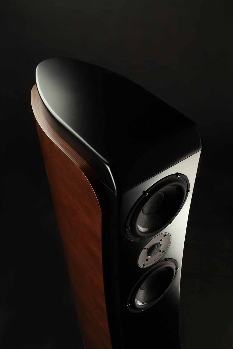 20241209113951 2024 12 09 UsherNereoND