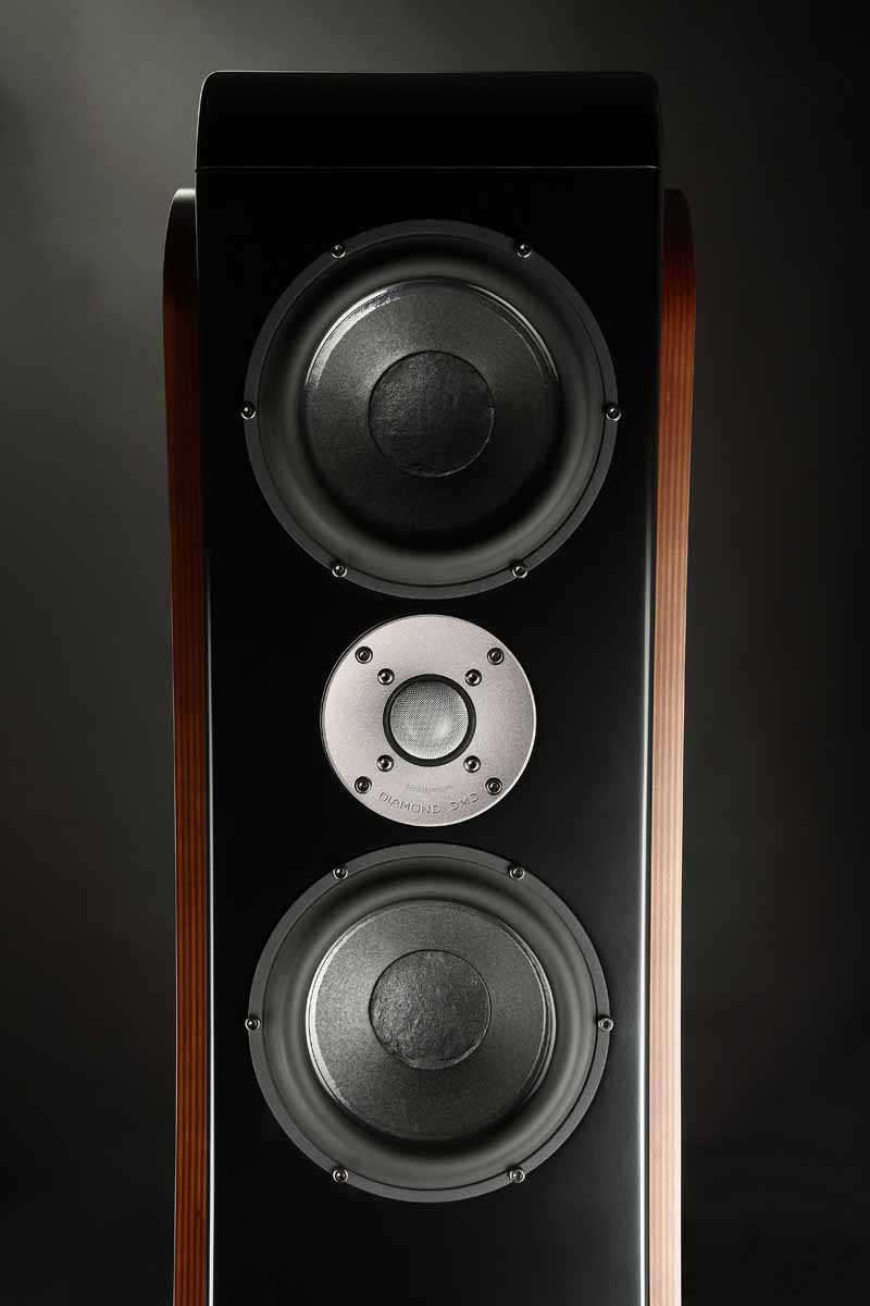 20241209113951 2024 12 09 UsherNereoND