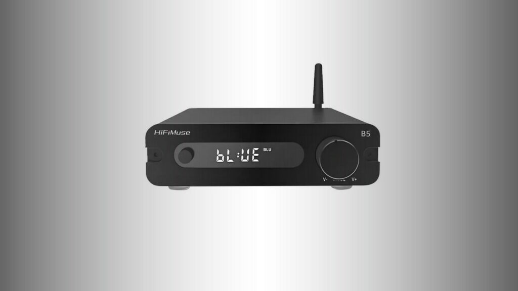 HiFiMuse B5