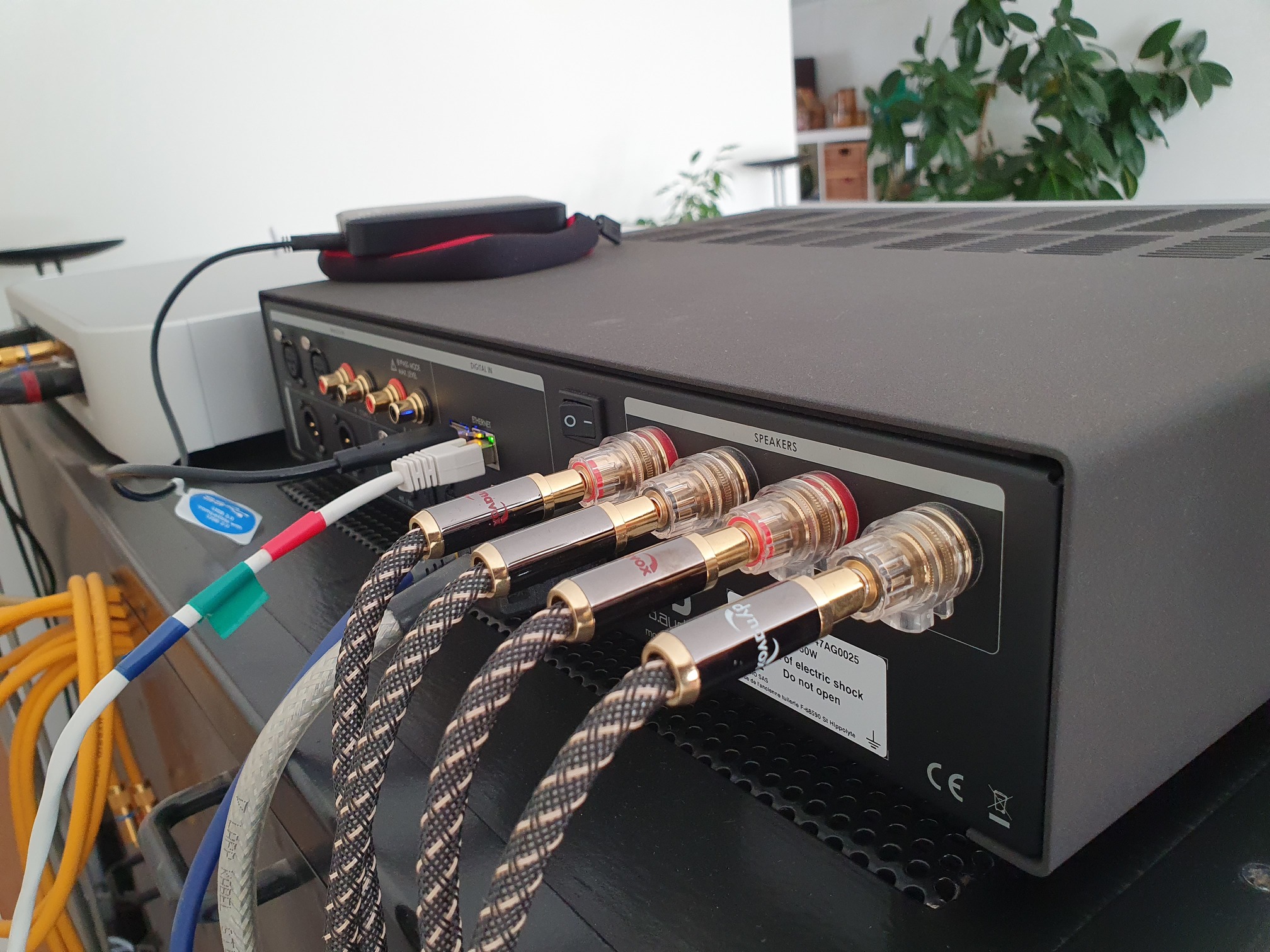 20250313140515 2025 02