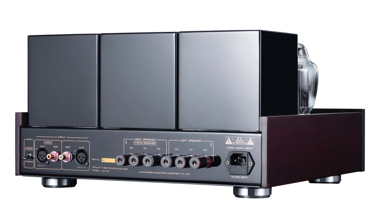Cayin Soul 170P: High-End Class A Stereo Tube Amplifier 3 Cayin Soul 170P inputs and outputs