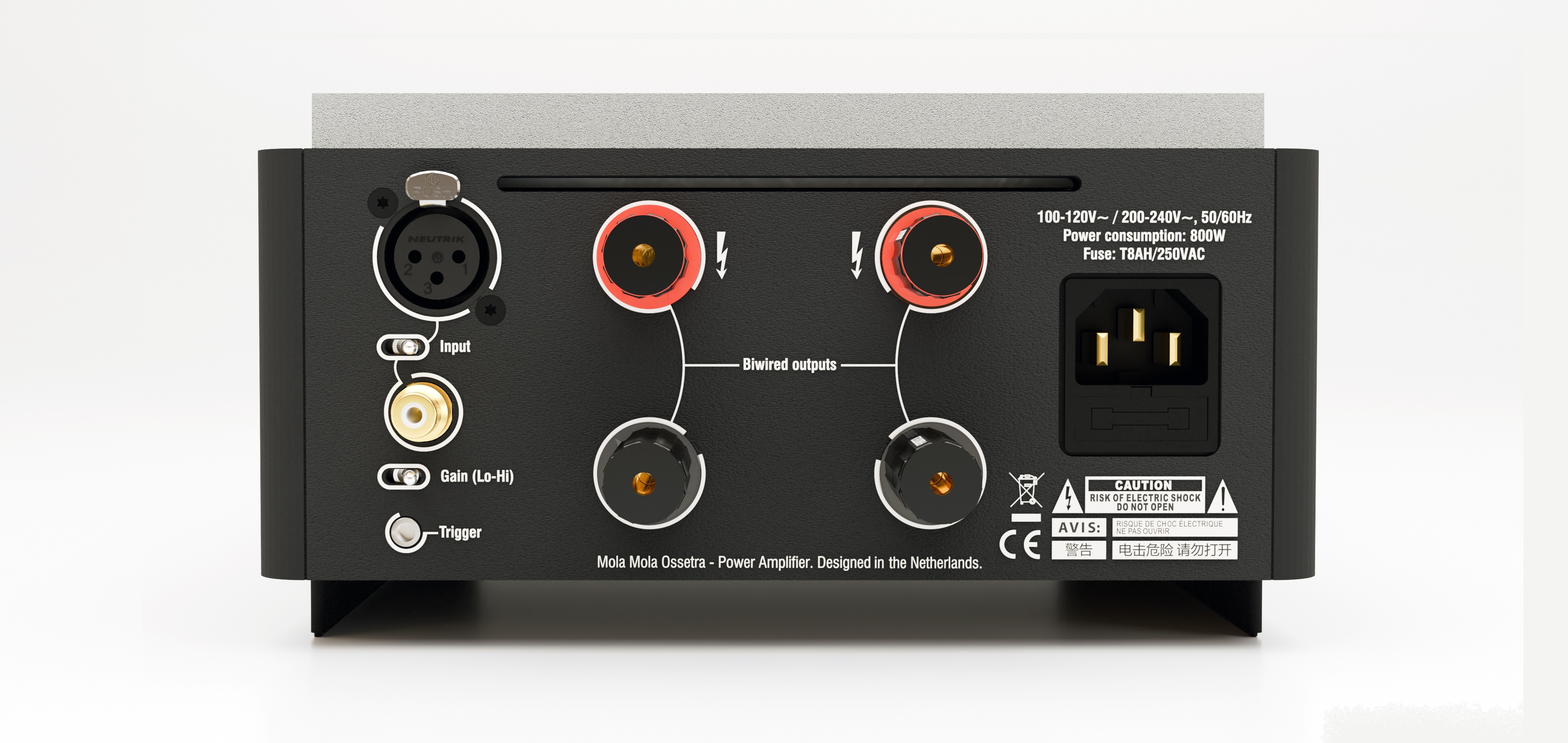 20251010142322 2025 10