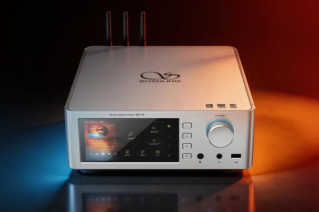 Rear panel of a DAC showing USB, coaxial, optical, AES/EBU, XLR and RCA connections