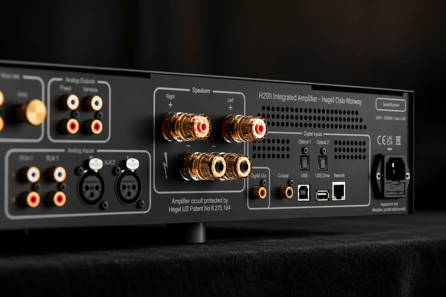 Hegel H200 Review: A Modern Hi-Fi Powerhouse Without the Gimmicks 4 The H200 offers extensive digital and analog connectivity, including balanced XLR inputs, phono support, USB playback and Hegel’s useful DAC-Loop feature.